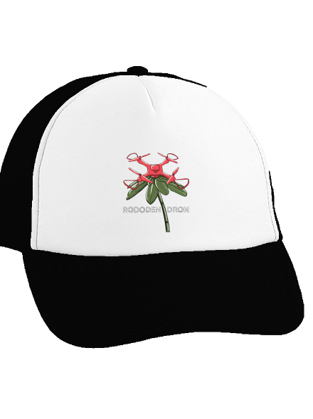 Rododendron šiltovka  Black cap