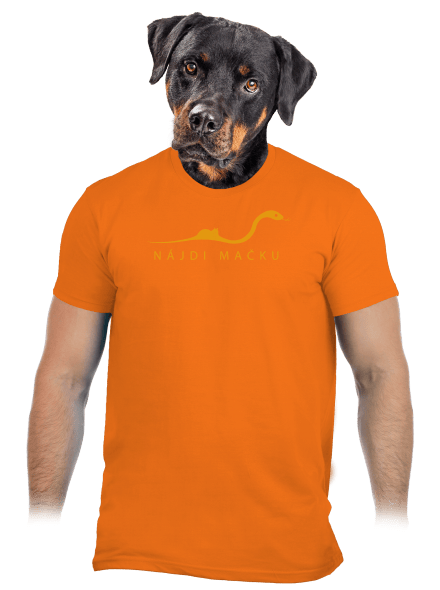 Najdi kočičku pánske tričko Orange