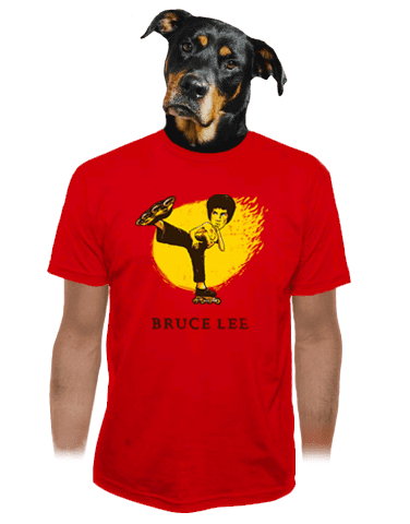 Bruce Lee pánske tričko