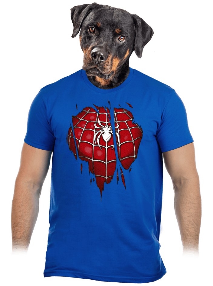 Spider Inside pánske tričko