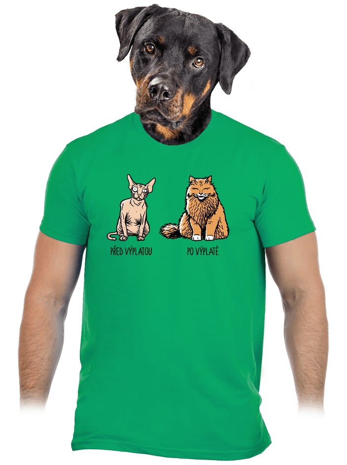 Kočka před výplatou zelené pánske tričko