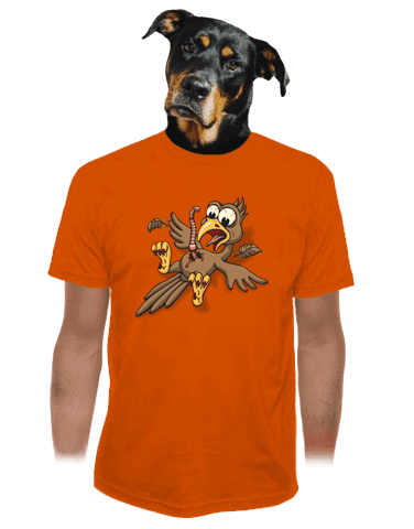 Dážďovkovotrelec oranžové pánske tričko